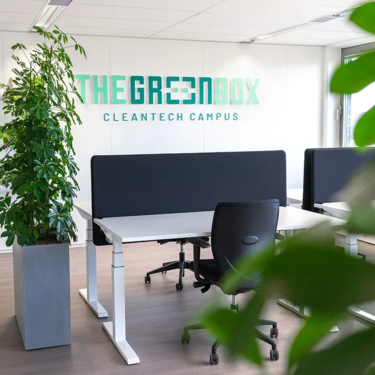  The Green Box flex workspace with lots of greenery.