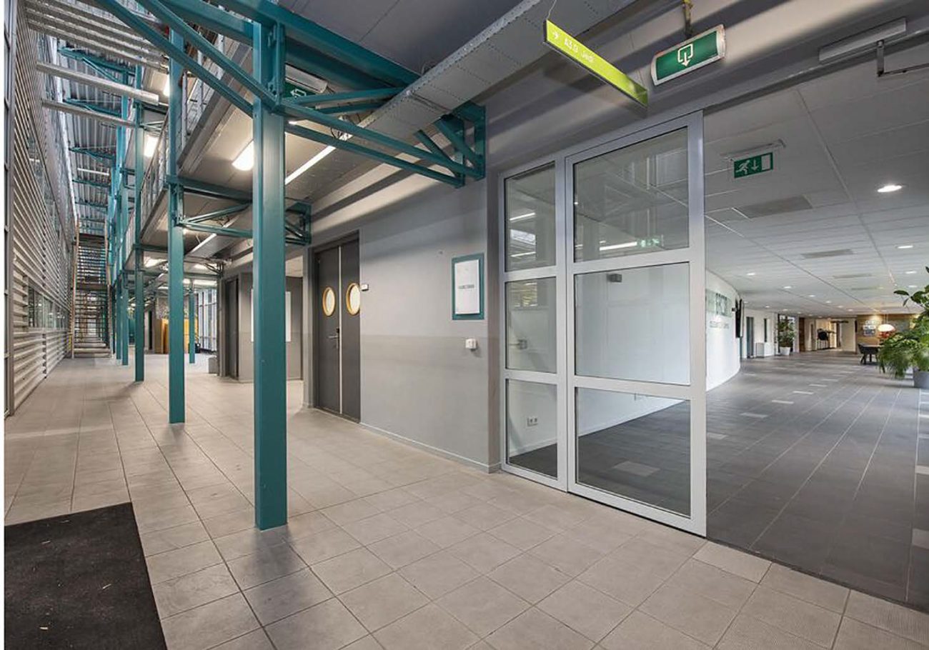 A91v5hdyp_1ydn7kf_fxw copy