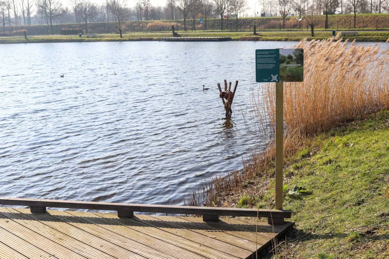 Houten steiger bij meer met informatiebord, rietvegetatie en watervogels in Nederlandse natuurgebied